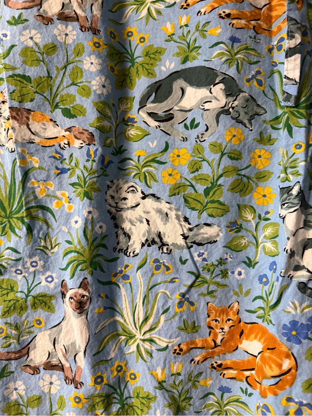 Women’s Printfresh Blue Cat Kitty Cropped Cotton Pajama Set - Picture 5 of 5